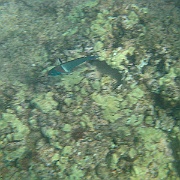 Picture 078